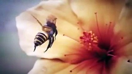 الحديث النبوي لا يزال الناس بخير ما عجلوا الفطر