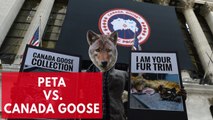 PETA Protests Against Canada Goose Inhumane Practices