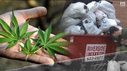 Free Weed If You Clean Up Garbage