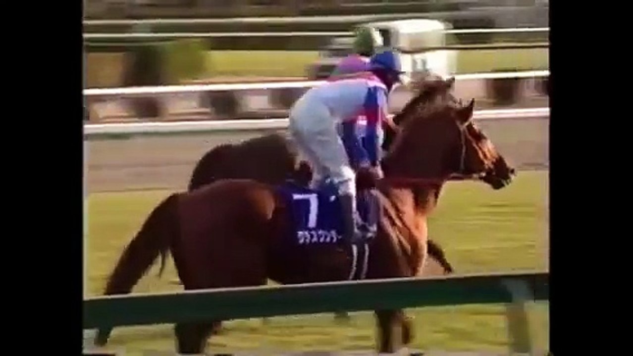 【競馬】最高級名馬のG1直線レースまとめ