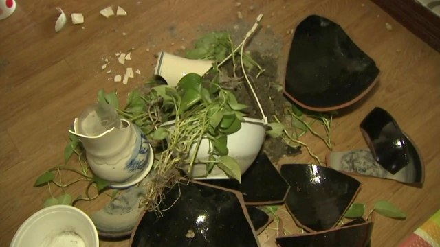 경주 이어 포항...영남서 지진 잇따른 이유 / YTN