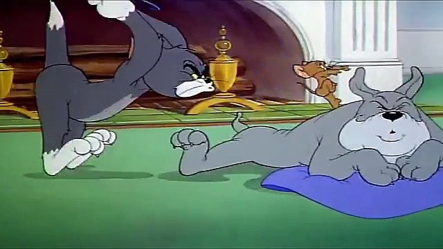 Tom And Jerry English Episodes - Quiet Please! - Cartoons For Kids Tv-HzS5yydRrB8