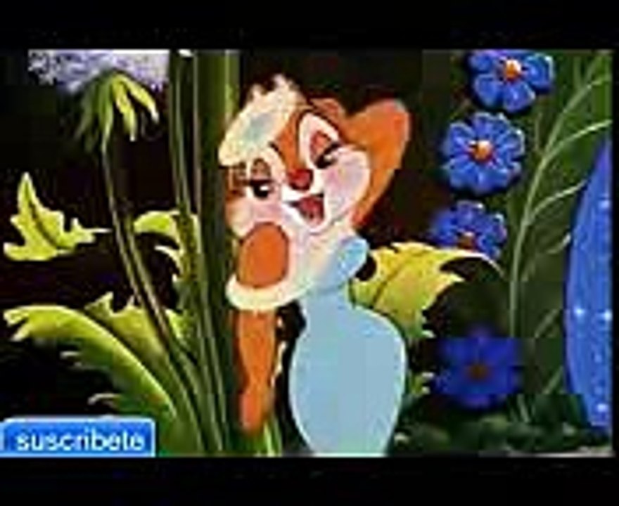 Chip y Dale Two Chips and a Miss