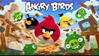 Tìm thấy chú chim Angry bird ngoài đời thực