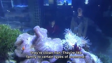 1 Litre of Tears Episode 9