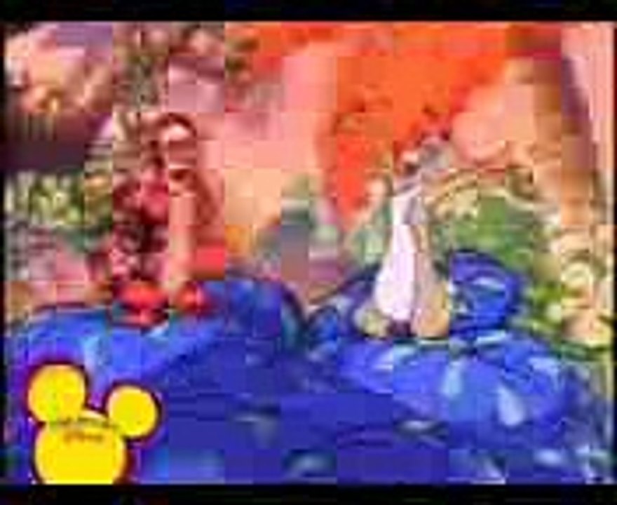 The New Adventures of Winnie the Pooh Intro and Outro