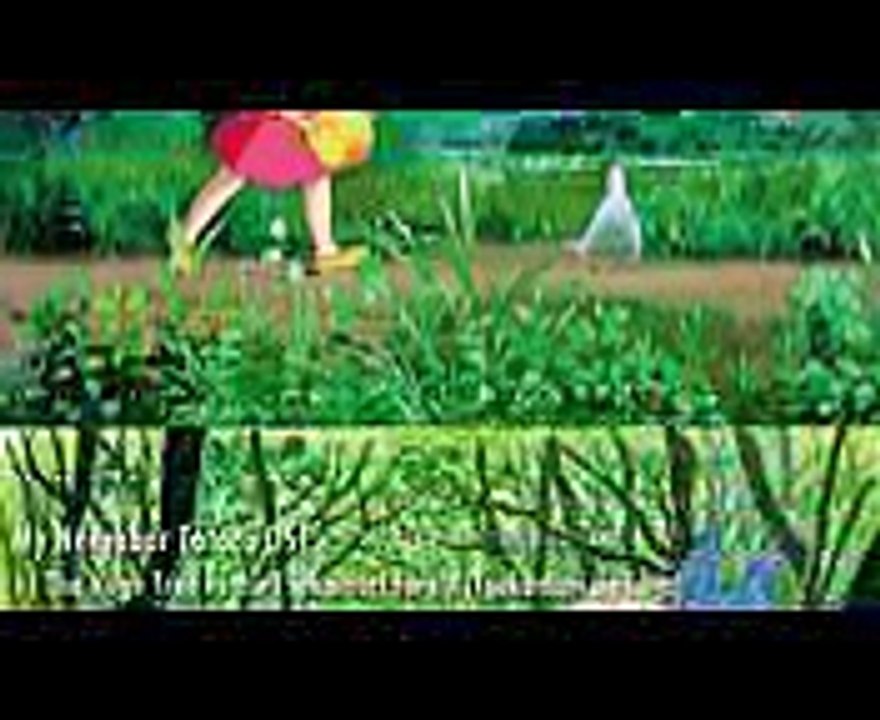 My Neighbor Totoro OST - 11 The Huge Tree in the Tsukamori Forest