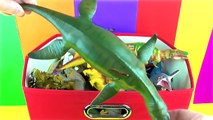 Dinazor Kutusu Oyuncak Koleksiyonu Tyrannosaurus - Çocuk Oyuncak İncelemesi - Eğitim - İngilizce