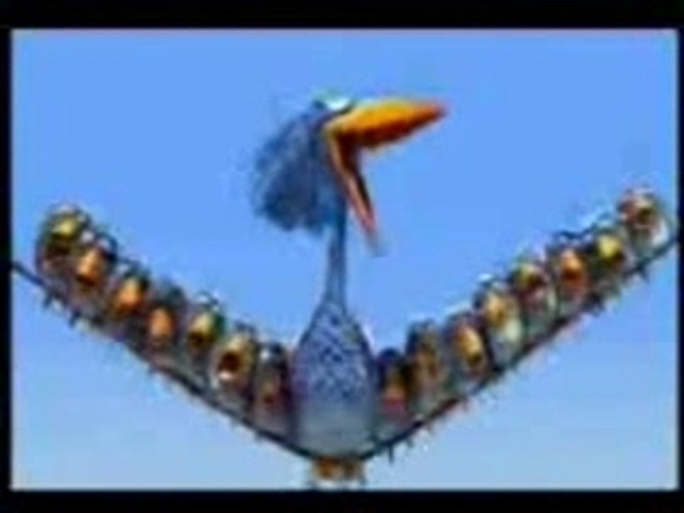 Birds