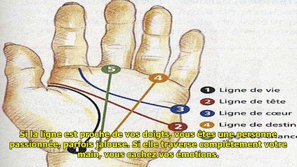 Les lignes sur votre main peuvent révéler des secrets sur vous et votre futur. lorsque j’ai lu les-c08X-VjCmis