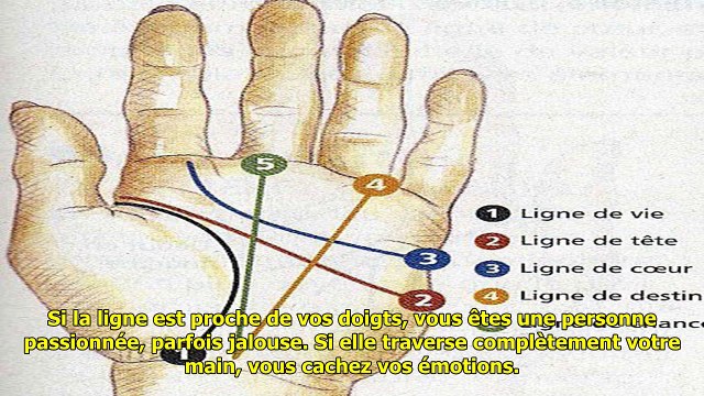 Les lignes sur votre main peuvent révéler des secrets sur vous et votre futur. lorsque j’ai lu les-c08X-VjCmis