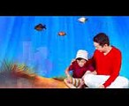 Ponyo on the Cliff by the Sea  Babies and Kids Channel  Nursery Rhymes for children  #DISNEYNIGHT
