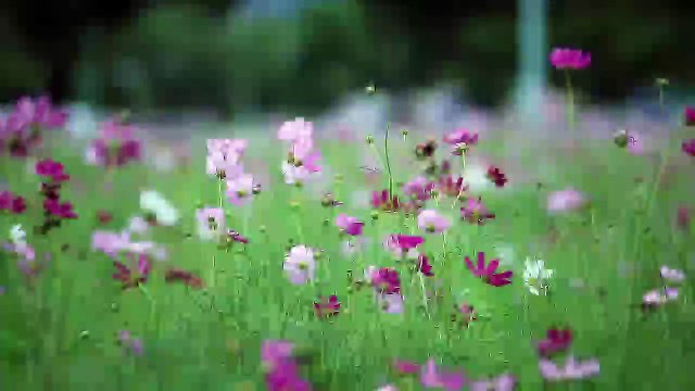 Les lignes sur votre main peuvent révéler des secrets sur vous et votre futur.-TDZ6P0CbNVE