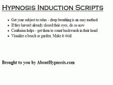 Hypnosis Induction Scripts