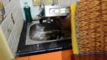 Gas Stove Cleaning | Gas Stove Maintenance | Stove Cleaning | Stove Maintain