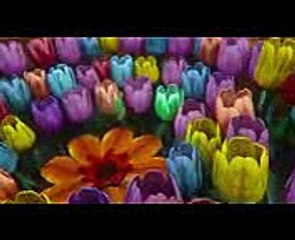 Tinker Bell's Tragedy Give Me A Chance (Once Upon A Time S3E03)