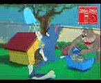 Tập phim hay nhất của Tom và Jerry (1)