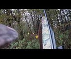 2017 10 29  chasse au grand gibier  sanglier, chevreuil