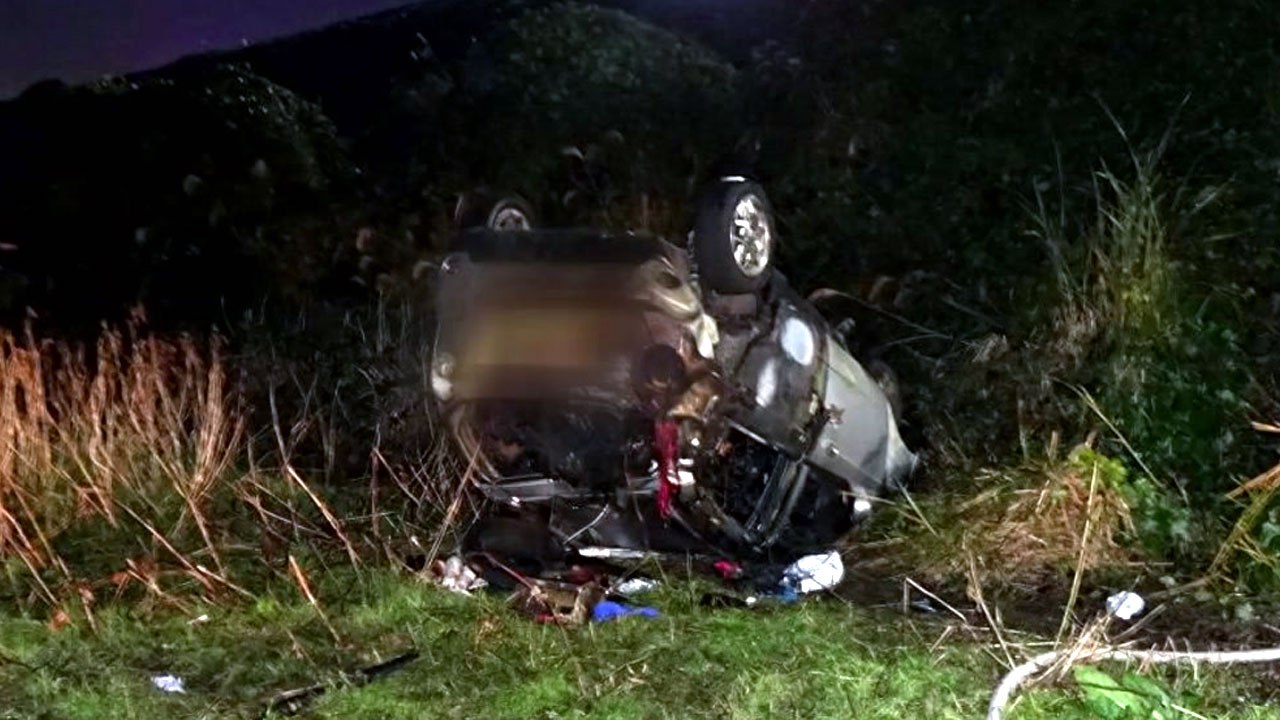 제주 승용차 3m 아래로 추락...운전자 다쳐 / YTN