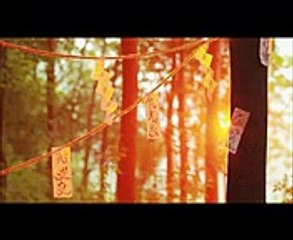 [SPOILER] Hotarubi no Mori e( Into the Forest of Fireflies' Light)