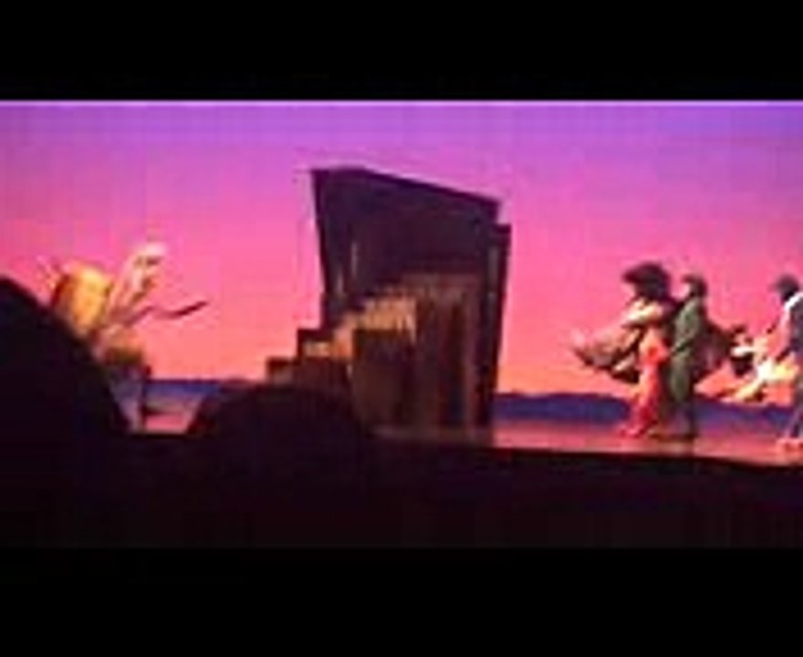 King of Pride Rock- The Lion King