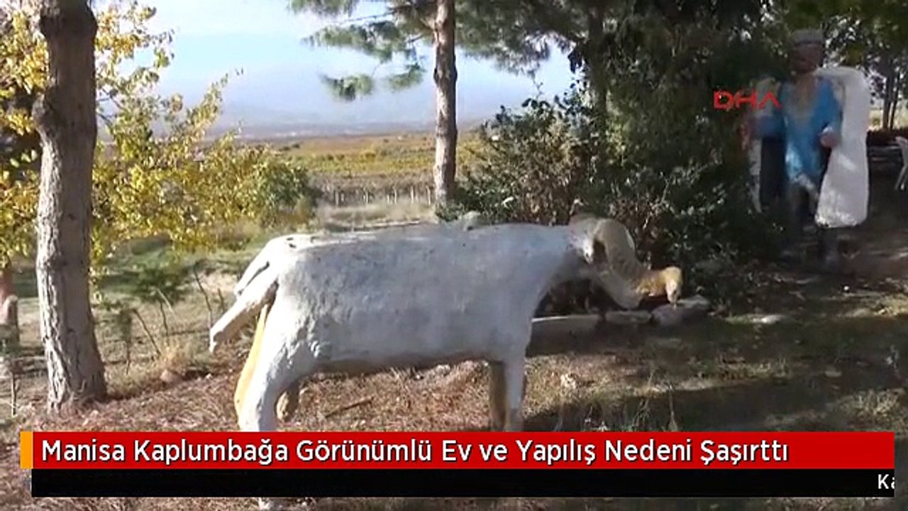 Manisa Kaplumbağa Görünümlü Ev ve Yapılış Nedeni Şaşırttı
