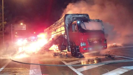 고속도로 택배 화물차에 불...3억 7천만 원 피해 / YTN