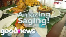 Good News: Amazing Saging