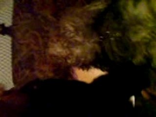 chyppie en pleine répétition