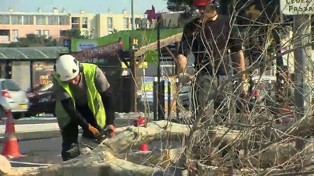 D'importants travaux d'élaguage près de l'hypermarché des Cognets