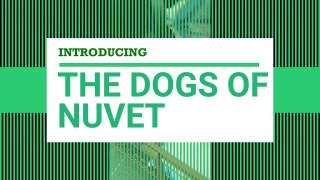 Vitamin Supplement from NuVet Labs for Your Pets