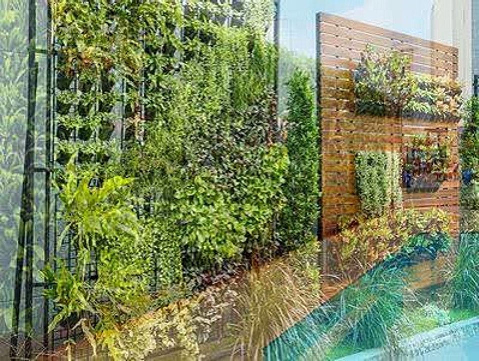 Best Bespoke Green Walls
