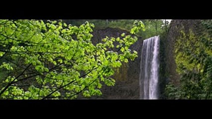 Asal kamyabi kya hai by Dr Israr