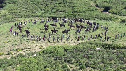 L'animaglyphe sur la colline du Miouvin à Istres cet après-midi