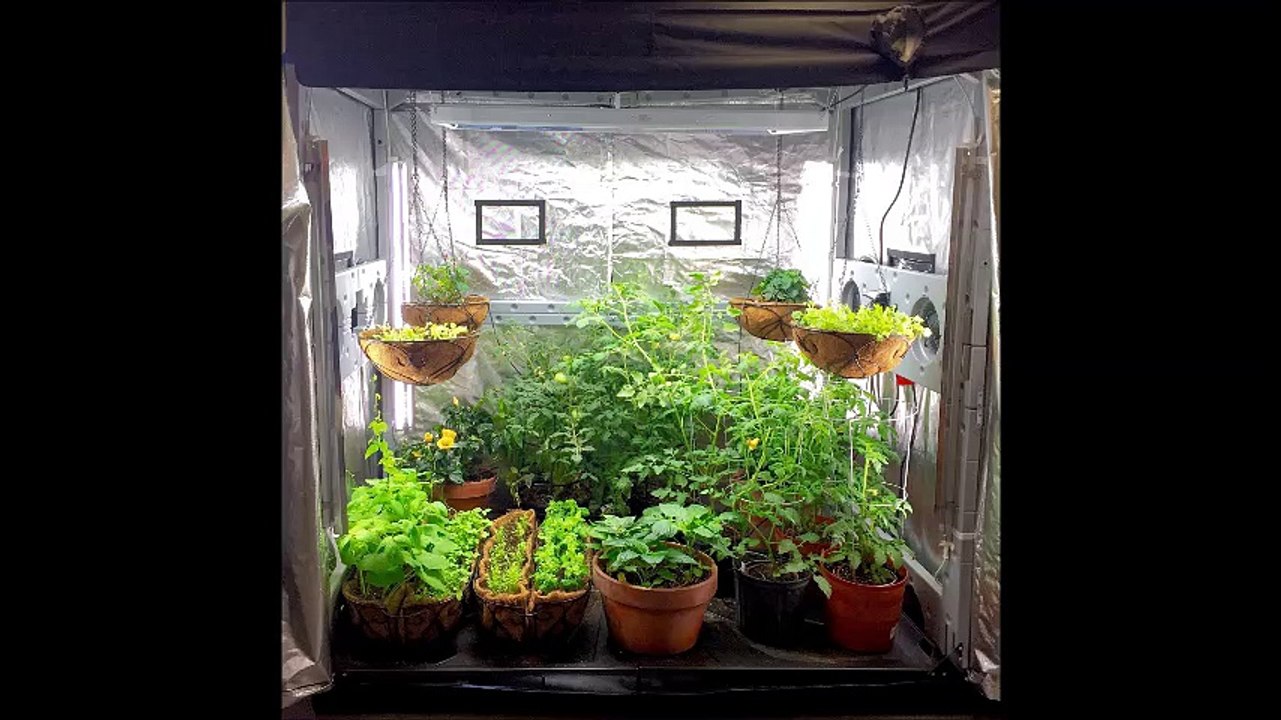 Best LED Grow lights 2017
