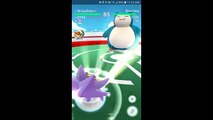 Pokémon GO Gym Battles Two Gyms Elekid Igglybuff Pichu Eevee Gengar & more