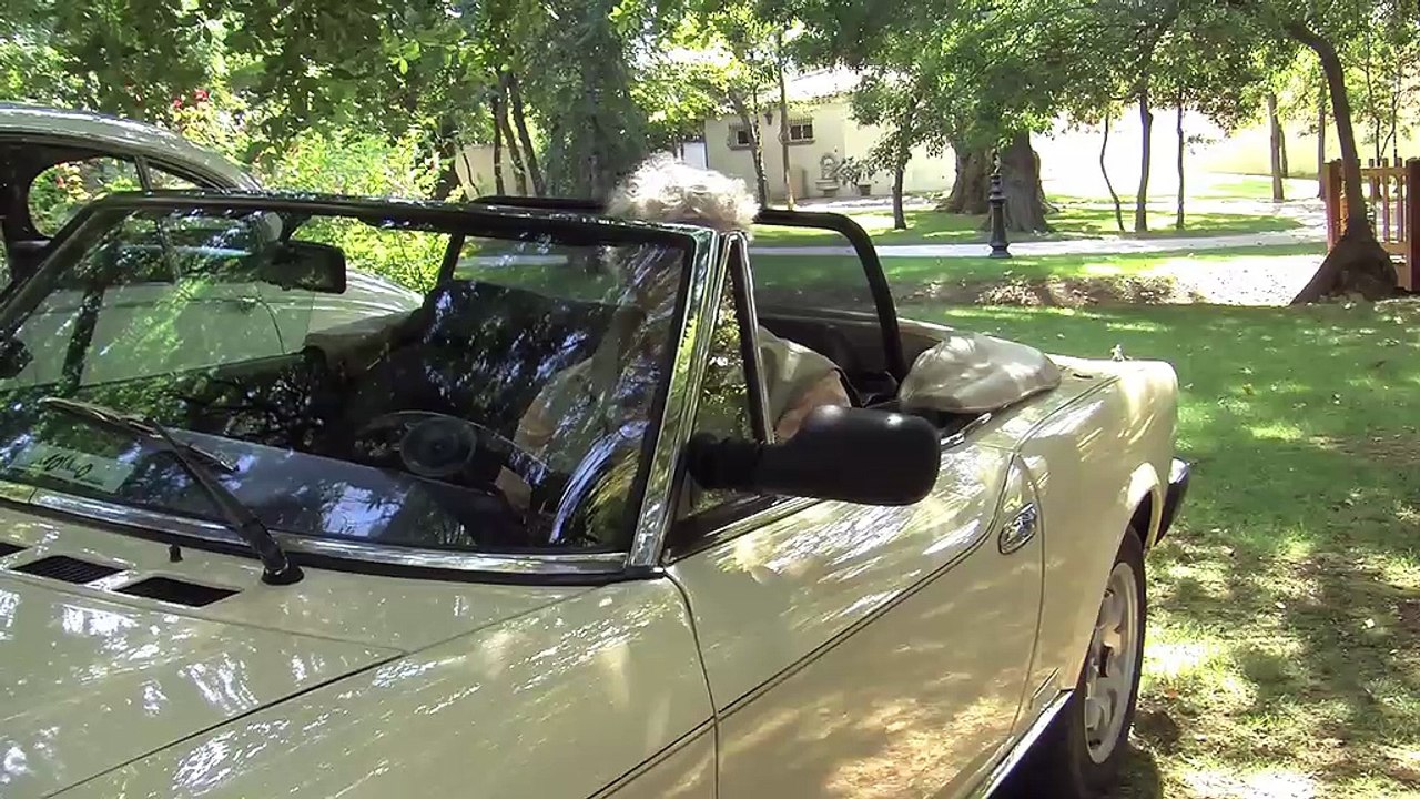 Revivez ce week-end ''voitures anciennes'' à Saint-Victoret.