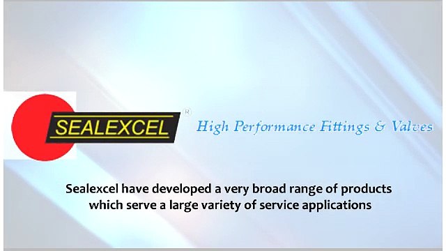 Best Stainless Steel Pipe Fittings Manufacturers - Sealexcel.com