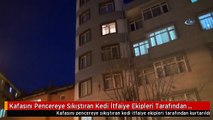 Kafasını Pencereye Sıkıştıran Kedi İtfaiye Ekipleri Tarafından Kurtarıldı