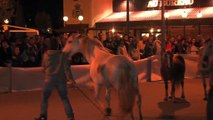 Jean-Francois Pignon et neuf chevaux en demonstration devant le Palace