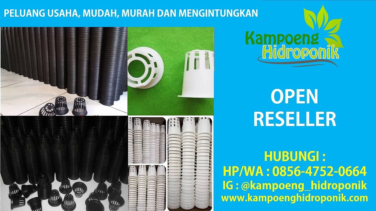0856-4752-0664 | Distributor Perlengkapan Hidroponik Semarang, Grosir Hidroponik Semarang, Jual Hidroponik Semarang
