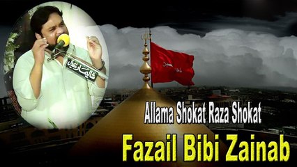 Allama Shokat Raza Shokat - Fazail Bibi Zainab