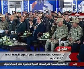 الرئيس السيسى: افتتاح مزارع انتاج حيوانى خلال أسابيع