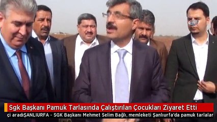 Sgk Başkanı Pamuk Tarlasında Çalıştırılan Çocukları Ziyaret Etti