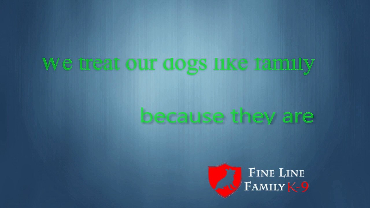 Fully Trained Family Protection Dogs for Sale in Florida
