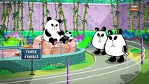 Meet Panda A Panda | New Kindergarten Cartoon Kids Show Fidget Spinner By Kids Channel