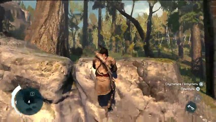 Assassins Creed III (219)