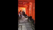 Fushimi Inari Kyoto