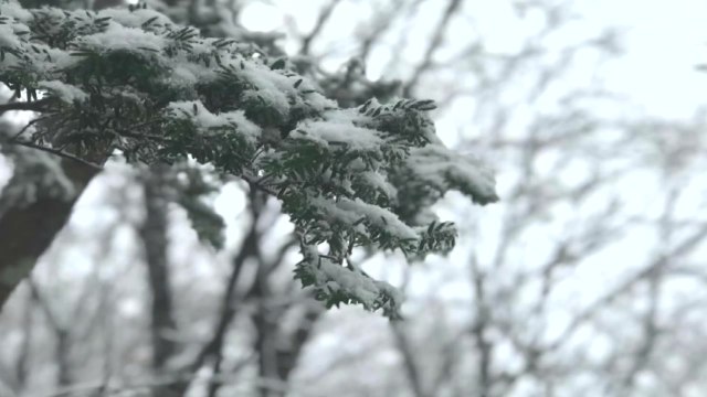 [날씨] 중부 영하 10℃...올가을 최강 추위 엄습 / YTN