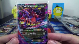 Pokemon Cards - Opening BOTH New Premium Collection Boxes featuring Mega Garchomp & Salamence EX